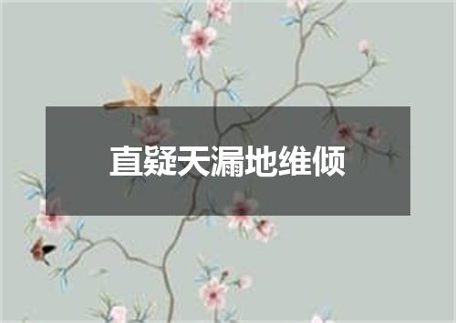 直疑天漏地维倾