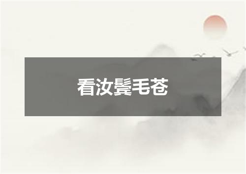 看汝鬓毛苍
