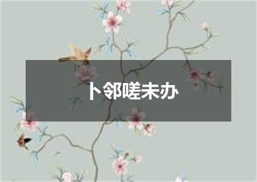 卜邻嗟未办