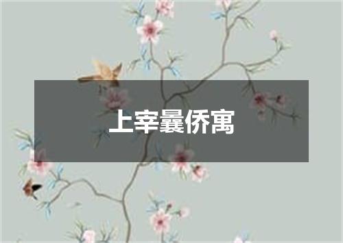 上宰曩侨寓