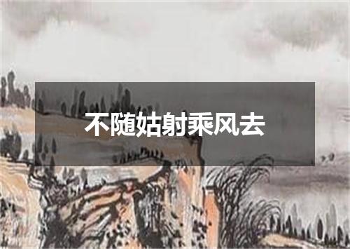 不随姑射乘风去
