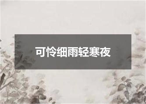 可怜细雨轻寒夜