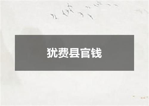 犹费县官钱