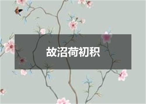 故沼荷初积