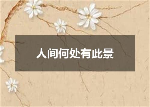 人间何处有此景
