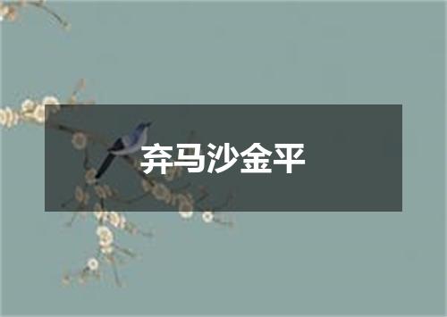 弃马沙金平