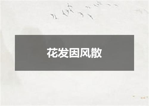 花发因风散
