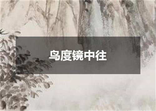 鸟度镜中往