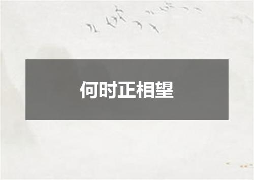 何时正相望