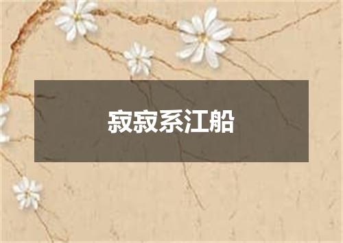 寂寂系江船