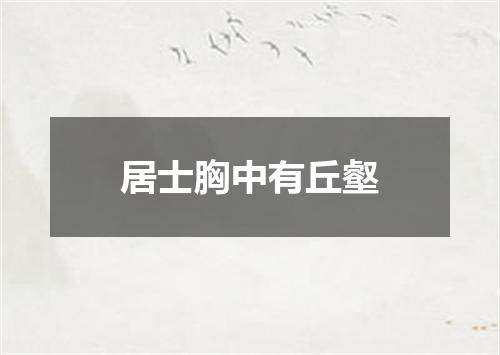 居士胸中有丘壑