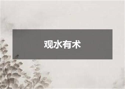观水有术