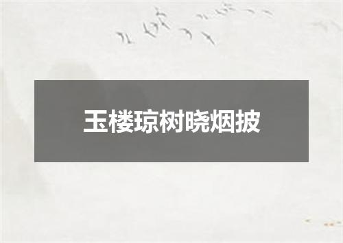 玉楼琼树晓烟披