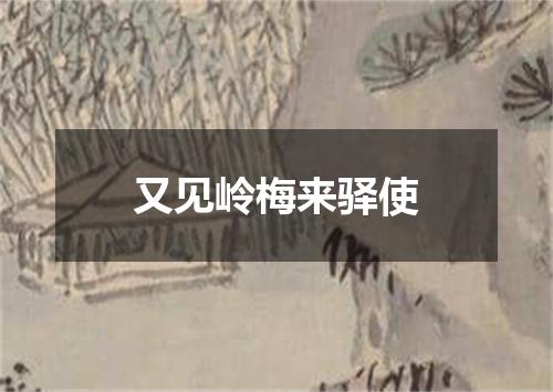 又见岭梅来驿使