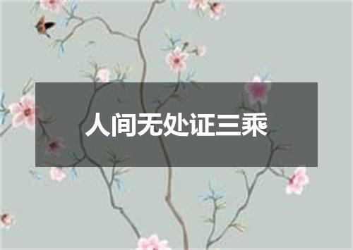 人间无处证三乘