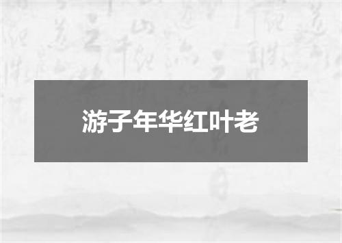 游子年华红叶老