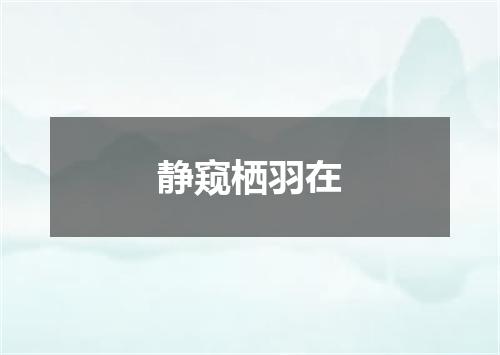 静窥栖羽在