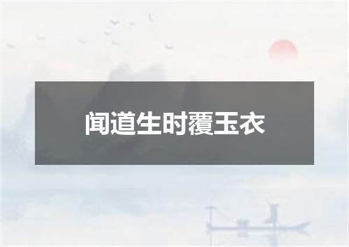 闻道生时覆玉衣