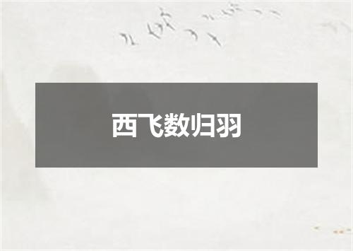 西飞数归羽