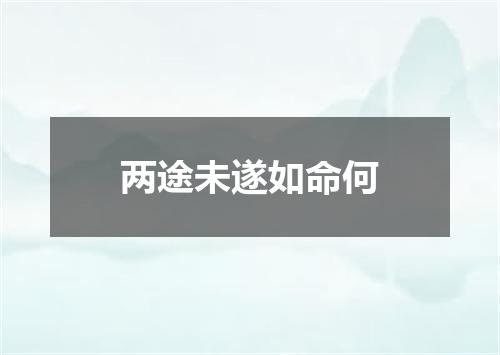 两途未遂如命何