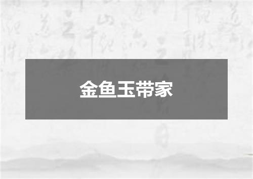 金鱼玉带家