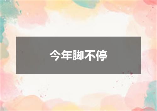 今年脚不停