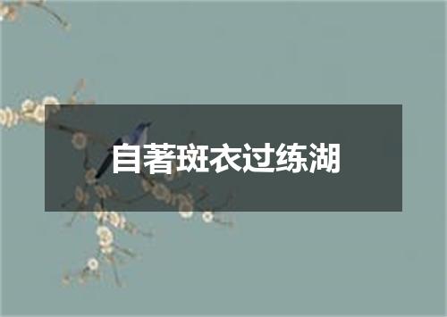 自著斑衣过练湖