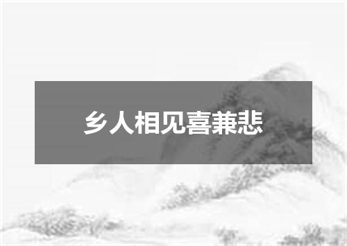 乡人相见喜兼悲