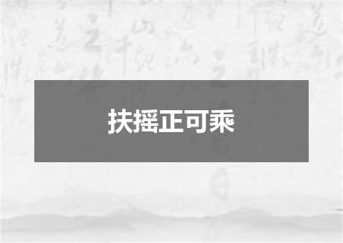 扶摇正可乘
