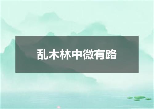 乱木林中微有路
