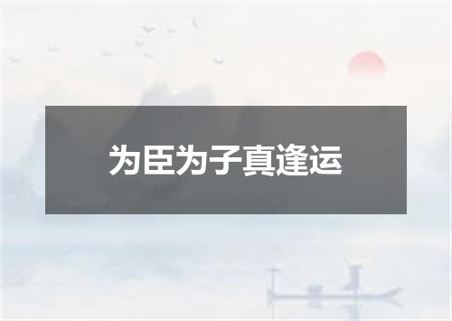 为臣为子真逢运