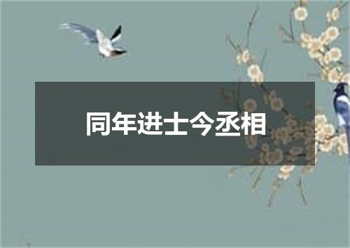 同年进士今丞相