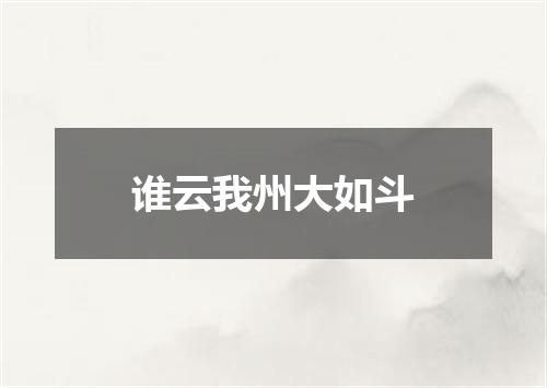 谁云我州大如斗