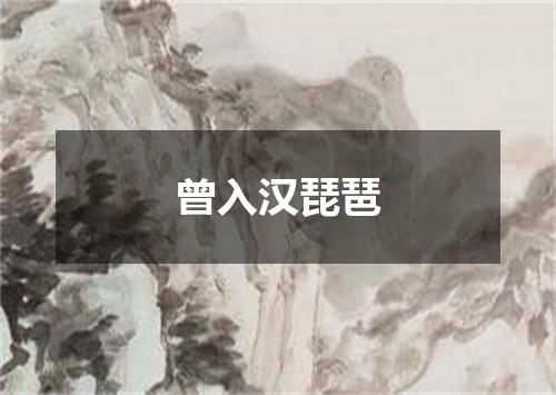 曾入汉琵琶