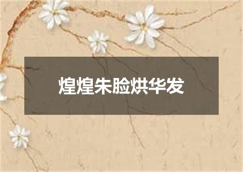煌煌朱脸烘华发