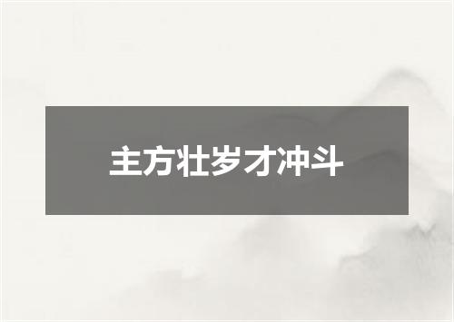 主方壮岁才冲斗
