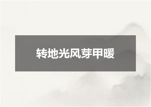 转地光风芽甲暖