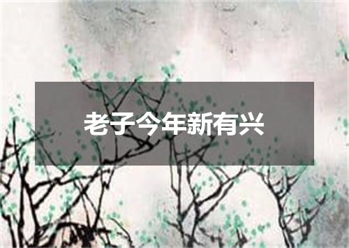 老子今年新有兴