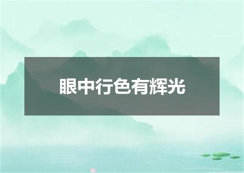 眼中行色有辉光