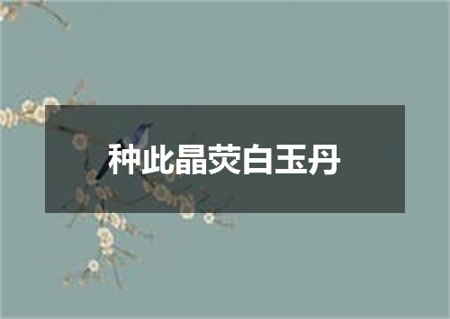 种此晶荧白玉丹