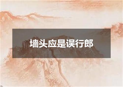 墙头应是误行郎