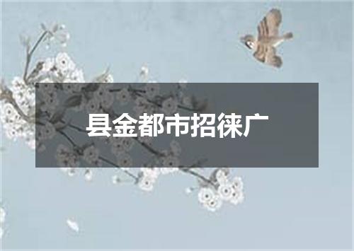 县金都市招徕广