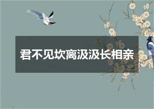 君不见坎离汲汲长相亲