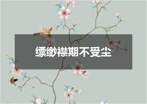 缥缈襟期不受尘