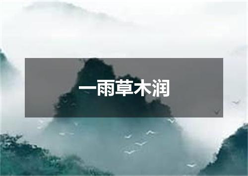 一雨草木润