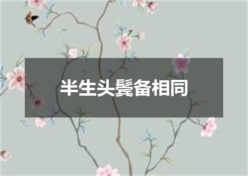 半生头鬓备相同