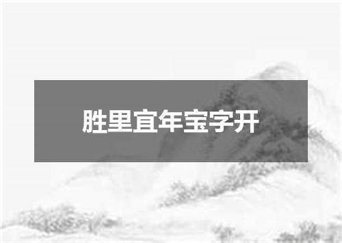 胜里宜年宝字开