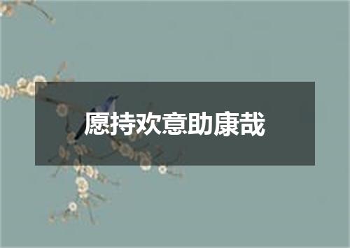 愿持欢意助康哉