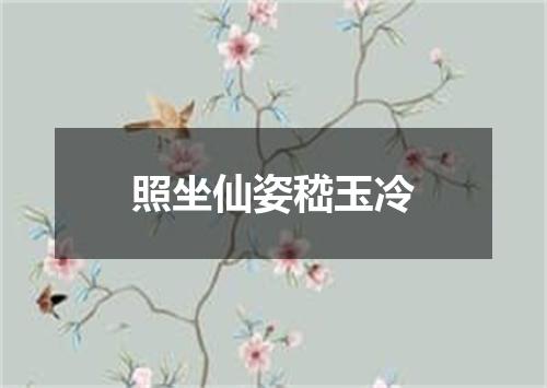 照坐仙姿嵇玉冷