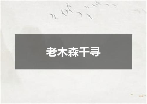 老木森千寻